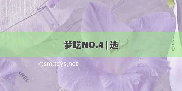 梦呓NO.4 | 逃