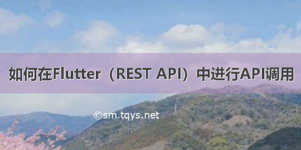 如何在Flutter（REST API）中进行API调用