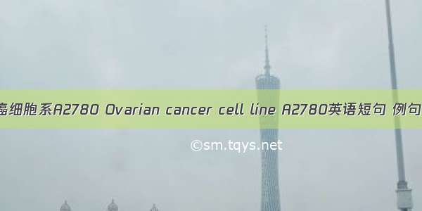 卵巢癌细胞系A2780 Ovarian cancer cell line A2780英语短句 例句大全