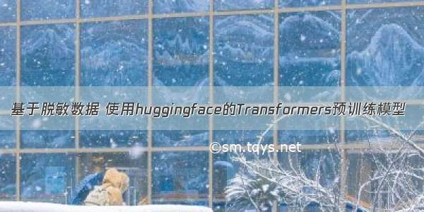 基于脱敏数据 使用huggingface的Transformers预训练模型