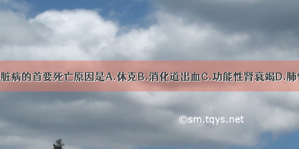 慢性肺源性心脏病的首要死亡原因是A.休克B.消化道出血C.功能性肾衰竭D.肺性脑病E.心律