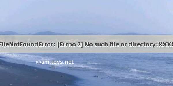 FileNotFoundError: [Errno 2] No such file or directory:XXXX