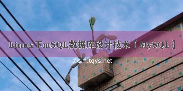 Linux下mSQL数据库设计技术【MySQL】