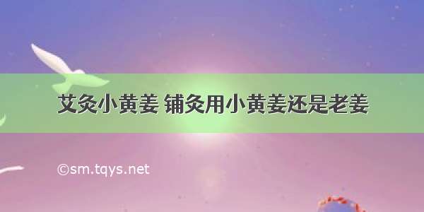 艾灸小黄姜 铺灸用小黄姜还是老姜