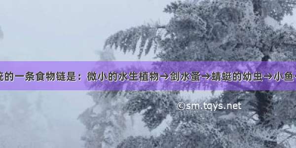 淡水生态系统的一条食物链是：微小的水生植物→剑水蚤→蜻蜓的幼虫→小鱼→大鱼．如果