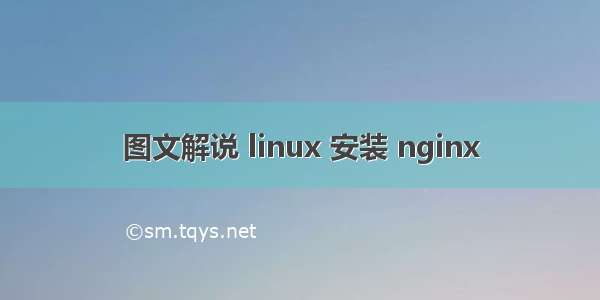 图文解说 linux 安装 nginx