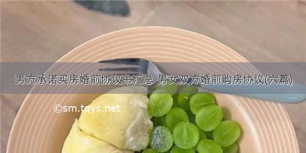 男方承诺买房婚前协议书汇总 男女双方婚前购房协议(六篇)