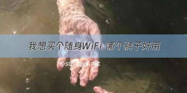 我想买个随身WiFi 哪个牌子好用