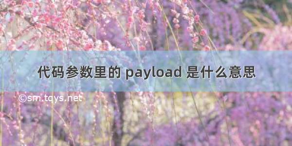 代码参数里的 payload 是什么意思