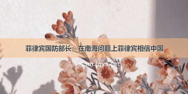 菲律宾国防部长：在南海问题上菲律宾相信中国