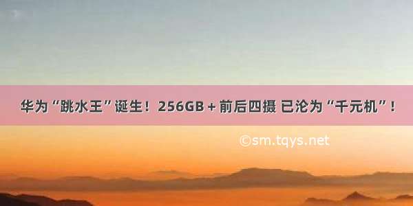 华为“跳水王”诞生！256GB＋前后四摄 已沦为“千元机”！