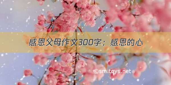 感恩父母作文300字：感恩的心