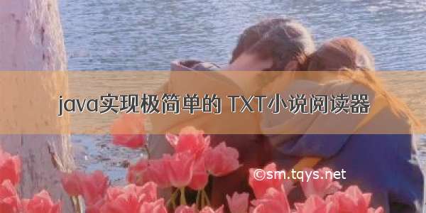 java实现极简单的 TXT小说阅读器