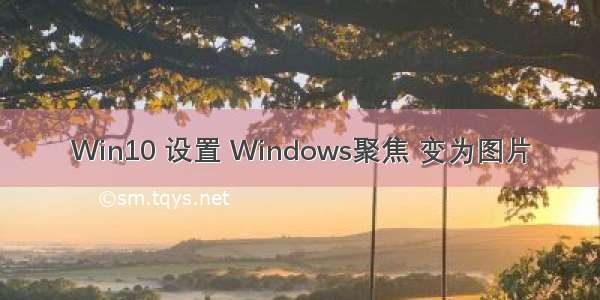 Win10 设置 Windows聚焦 变为图片