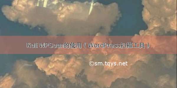 Kali WPScan的使用（WordPress扫描工具）