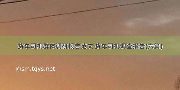 货车司机群体调研报告范文 货车司机调查报告(六篇)