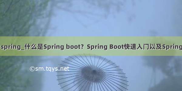 boot入门思想 spring_什么是Spring boot？Spring Boot快速入门以及Spring Boot实例教程