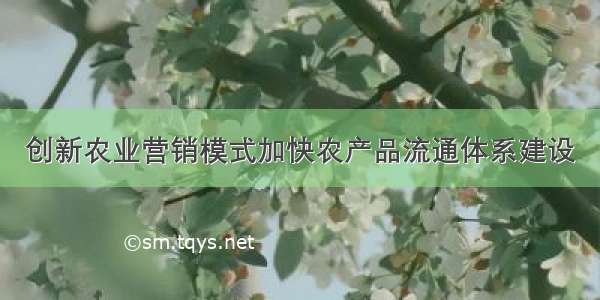 创新农业营销模式加快农产品流通体系建设