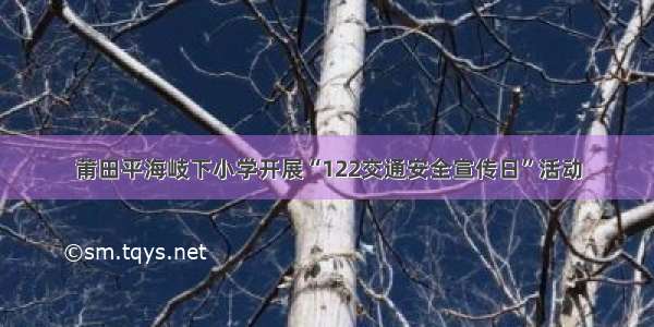 莆田平海岐下小学开展“122交通安全宣传日”活动