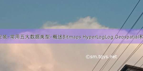 NoSQL概述-Redis安装-常用五大数据类型-概述Bitmaps HyperLogLog Geospatial和redis.conf 基本解析