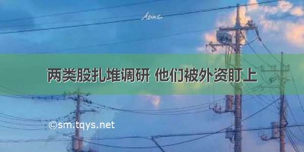 两类股扎堆调研 他们被外资盯上