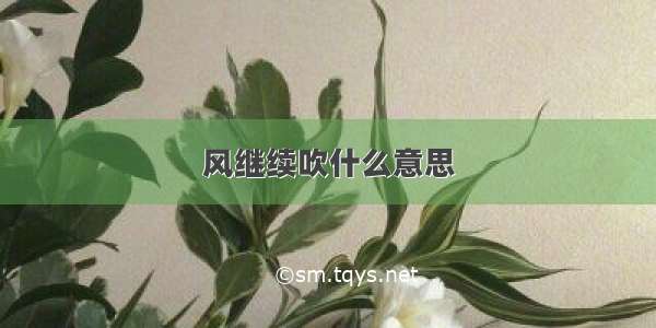 风继续吹什么意思