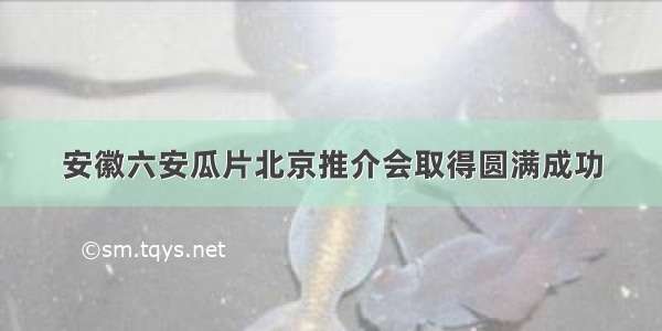 安徽六安瓜片北京推介会取得圆满成功