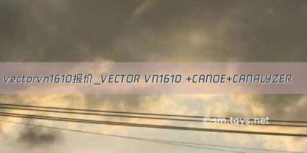 vectorvn1610报价_VECTOR VN1610 +CANOE+CANALYZER