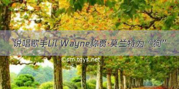 说唱歌手Lil Wayne称贾·莫兰特为“狗”