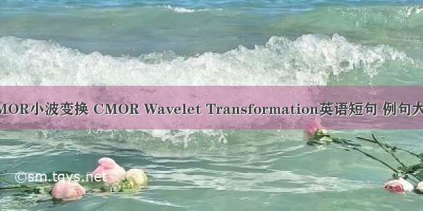 CMOR小波变换 CMOR Wavelet Transformation英语短句 例句大全