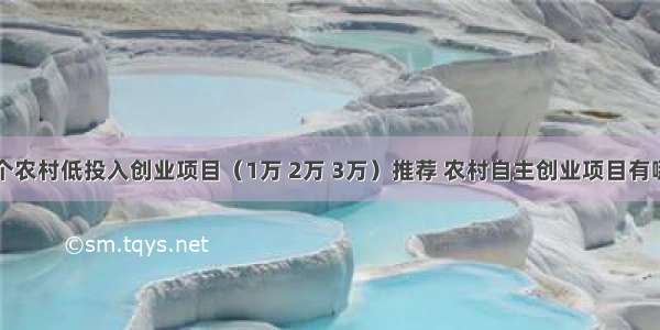 十个农村低投入创业项目（1万 2万 3万）推荐 农村自主创业项目有哪些