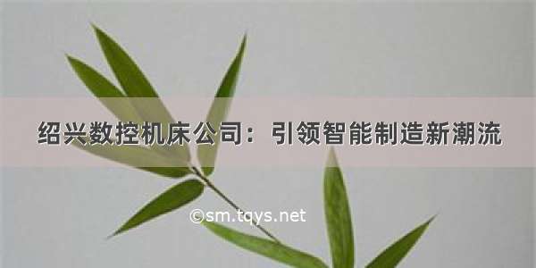 绍兴数控机床公司：引领智能制造新潮流