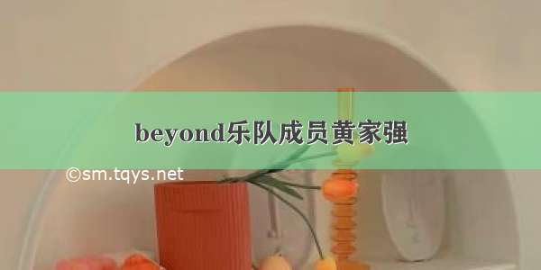 beyond乐队成员黄家强