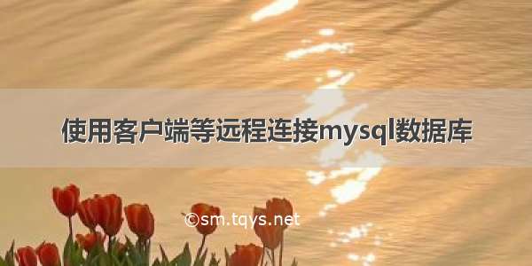 使用客户端等远程连接mysql数据库