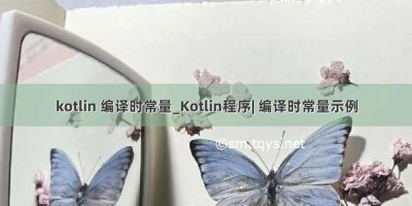 kotlin 编译时常量_Kotlin程序| 编译时常量示例