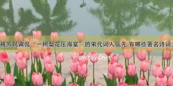 被苏轼调侃“一树梨花压海棠”的宋代词人张先 有哪些著名诗词？