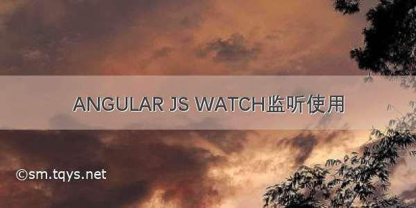 ANGULAR JS WATCH监听使用