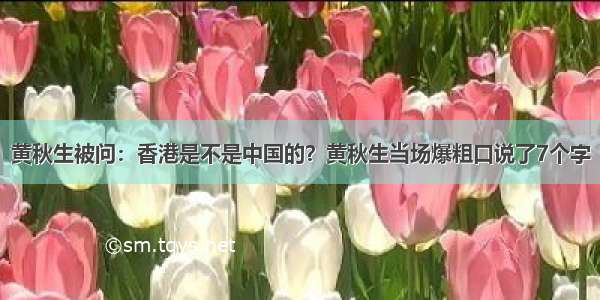黄秋生被问：香港是不是中国的？黄秋生当场爆粗口说了7个字