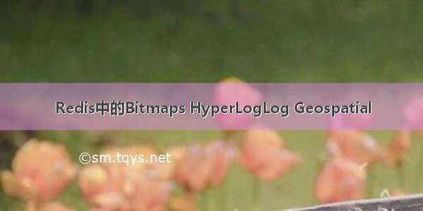 Redis中的Bitmaps HyperLogLog Geospatial
