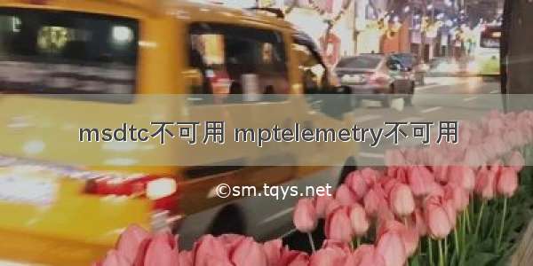 msdtc不可用 mptelemetry不可用