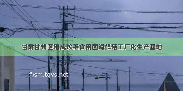 甘肃甘州区建成珍稀食用菌海鲜菇工厂化生产基地