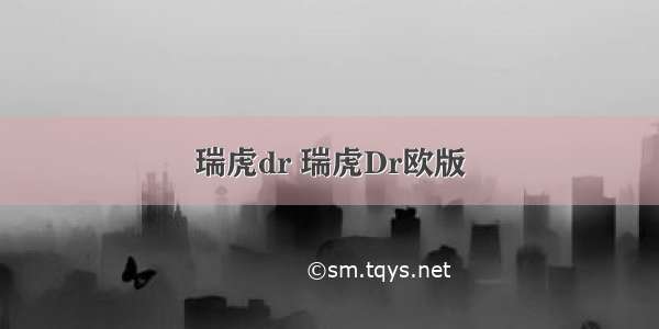 瑞虎dr 瑞虎Dr欧版