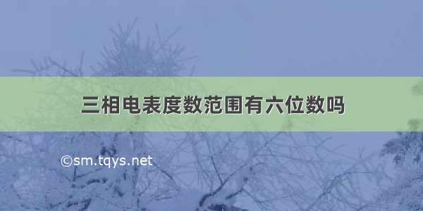 三相电表度数范围有六位数吗