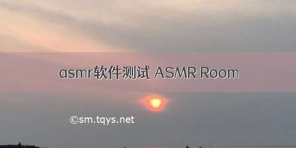 asmr软件测试 ASMR Room