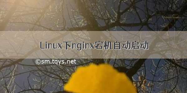 Linux下nginx宕机自动启动