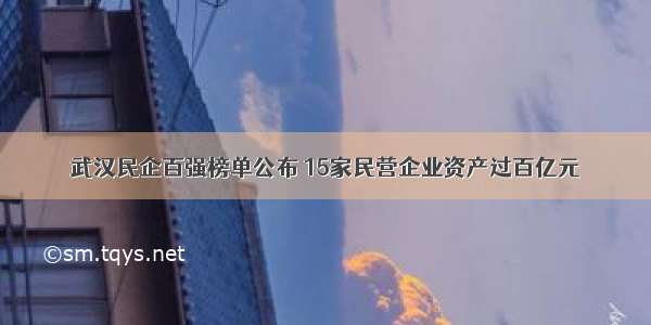 武汉民企百强榜单公布 15家民营企业资产过百亿元