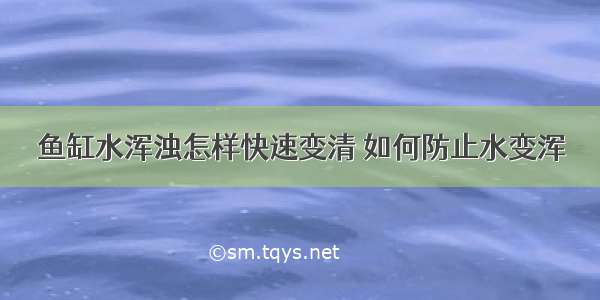 鱼缸水浑浊怎样快速变清 如何防止水变浑