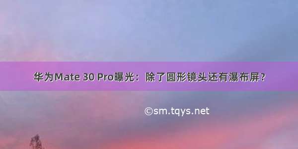 华为Mate 30 Pro曝光：除了圆形镜头还有瀑布屏？