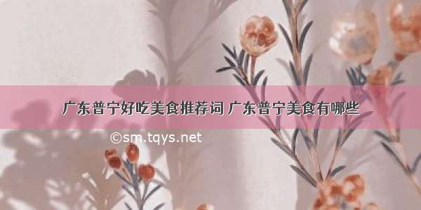 广东普宁好吃美食推荐词 广东普宁美食有哪些