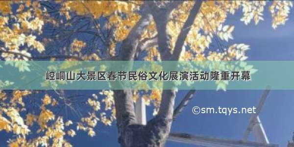 崆峒山大景区春节民俗文化展演活动隆重开幕